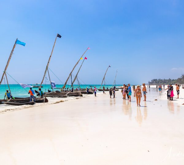 BEACH & ISLANDS