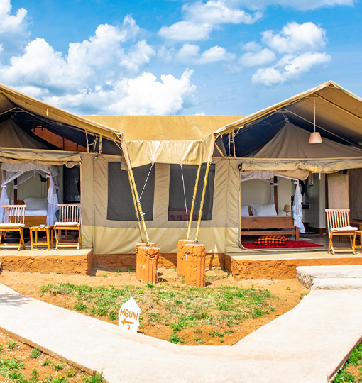 Diani-Tours-Home
